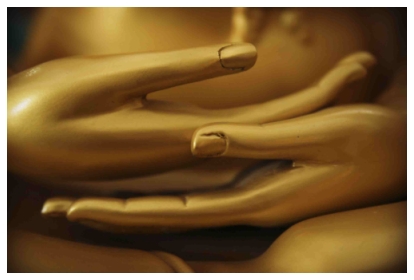 Massage Hands of Buddha